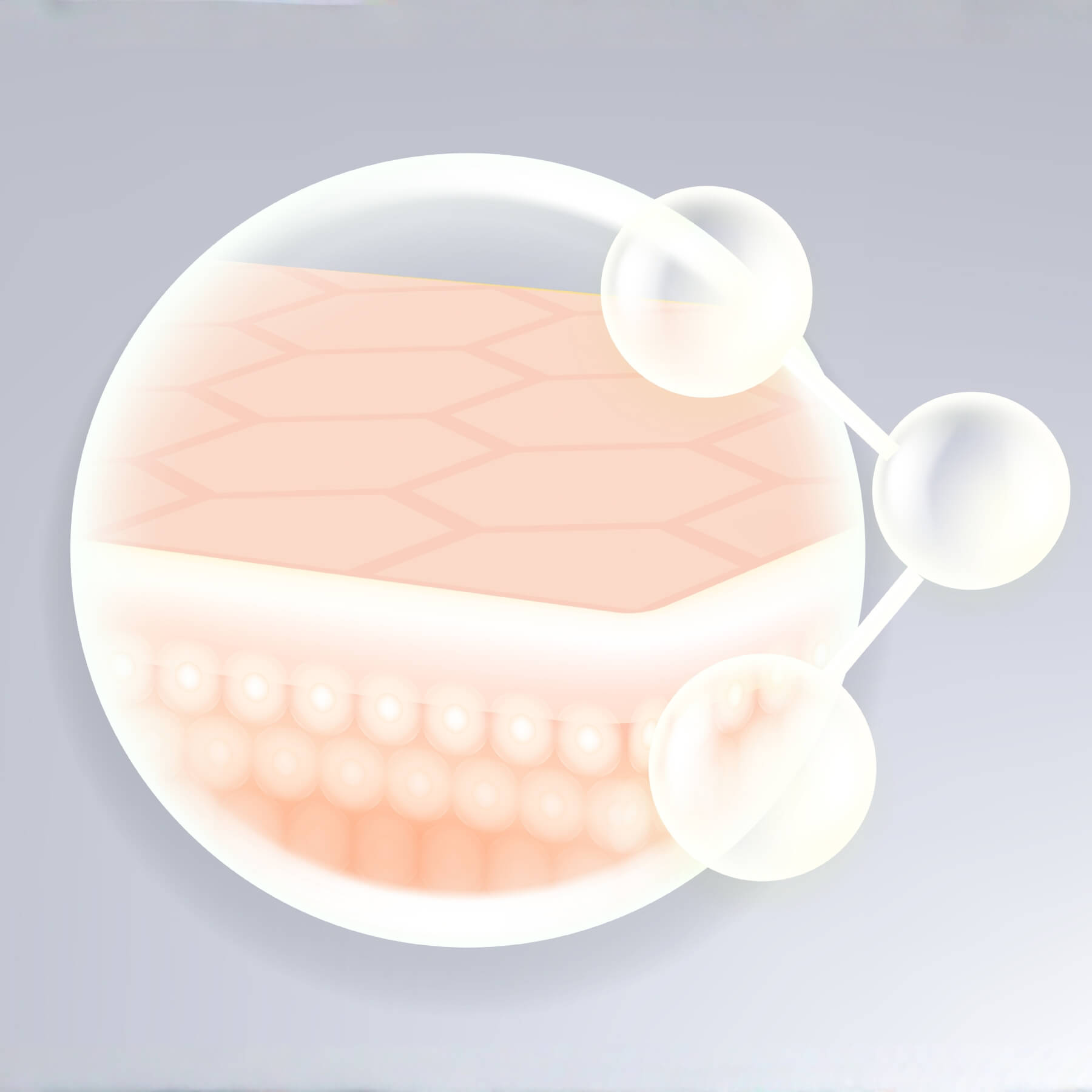 verbesserte wirkstoffabsorption